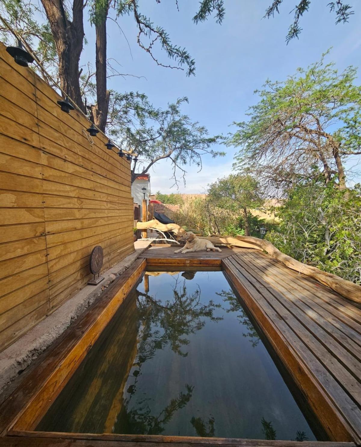 Anka Lodge Quitor San Pedro de Atacama Exterior foto