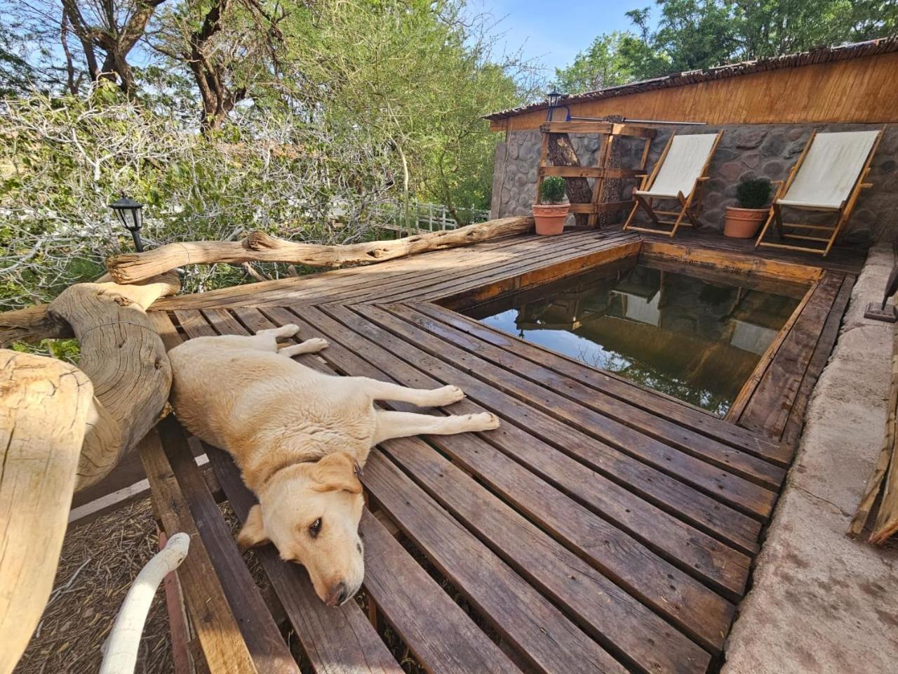 Anka Lodge Quitor San Pedro de Atacama Exterior foto