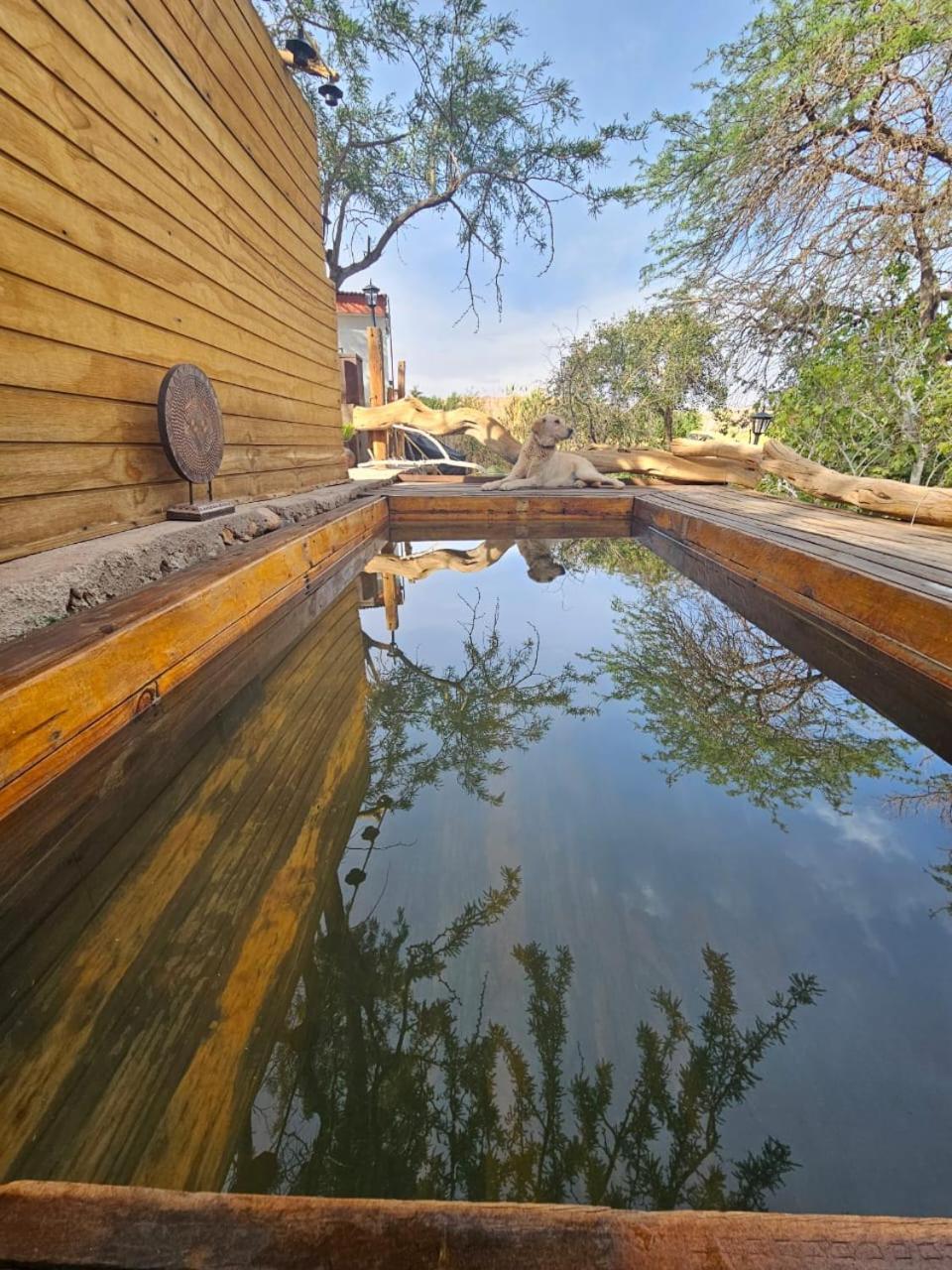 Anka Lodge Quitor San Pedro de Atacama Exterior foto