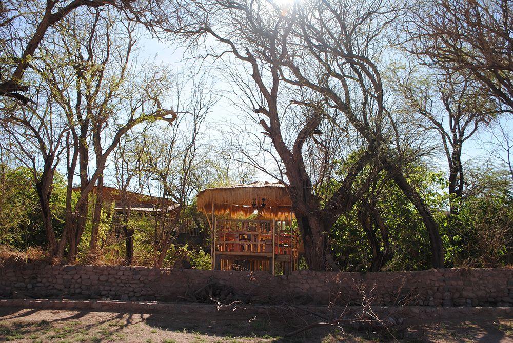 Anka Lodge Quitor San Pedro de Atacama Exterior foto